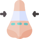 Rhinoplasty (Nose Reshaping)